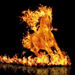 Vicky Vaughan-Parry - @itsjust_meand_myhorses - Instagram