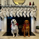 Vicky Partridge - @vickypartridge1 - Instagram
