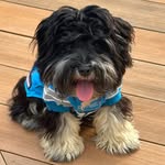 Vicky Hague Patton - @vpatton730 - Instagram