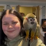 Vicky Payne - @vickypaynezoophotography - Instagram
