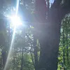 Victoria Payton - @vickyy2424 - TikTok