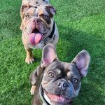 Vicky Pearce - @vickypearce - Instagram