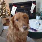 Vicky Peck - Facebook