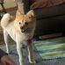 Vicki Pennington - Facebook