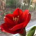 Vickie Pennington - Facebook