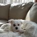 Vicky Pennington - Facebook