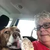 vickypeterson336 - @vickypeterson336 - TikTok
