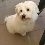 Vicky Peters - @vicky.peters.37 - Instagram