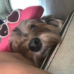 Vicky Petty-Amend - @pettyamend - Instagram