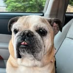 Betsy’s Mom - @vickyphelpsgriffin - Instagram