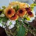 Vicky Phelps - Facebook