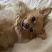 Vikki Pickard - Facebook