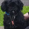 Vicky Pickering - @vicky.pickering8 - TikTok