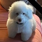 Vickie Earlywine Pickett - @auntbeepick - Instagram