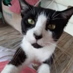 Vickie Pilkington - Facebook