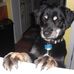 Victoria Calaway Pilkington - Facebook