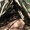 Vicky Plant - @vicky.plant - TikTok
