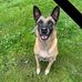 Vicki Platt - Facebook
