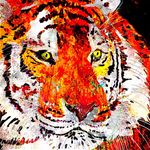 Vicky Platt Artist - @vickyplattartist - Instagram