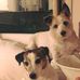 Vicki Plummer - Facebook