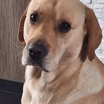 Vicky Poppe - @poppe.vicky - Instagram