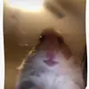 Vicky_Power - @vicky_power - TikTok