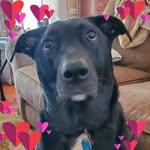 Vicky Rhames Pridemore - @vpridemore67 - Instagram