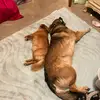 vicky_prior1 - @vicky_prior1 - TikTok