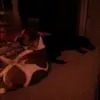 Vickie Putnam - @vickie.putnam - TikTok