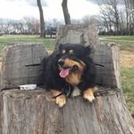 Vicky Putnam - @vickyputnam - Instagram