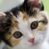 Vicky Quintero - @vicky.quintero07 - TikTok