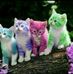 Vicky Rak - Facebook
