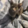 Vicki Rangel - @mrs.rangel89 - TikTok