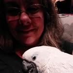 Vicki Gaudio Ransom - @vickigaudioransom - Instagram