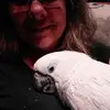 Vicki Gaudio Ransom - @vickigaudioransom - TikTok
