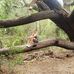 Vicky Raymond - Facebook