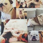 Vicky Raymond - @vicky_raymond - Instagram