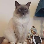 Vicky Redford - @vickyredford - Instagram