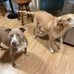 Vicki Redmond - Facebook