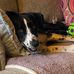 Vicki Redmond - Facebook