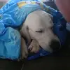 vickyredmond512 - @vickyredmond512 - TikTok