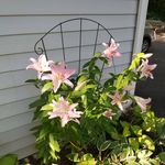 Vicki Reeder - @reeder_vicki - Instagram