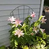 Vicki Reeder - @vicki.reeder - TikTok
