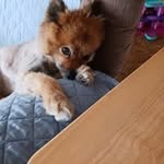 Vickie Reeder - @vteeder - Instagram