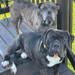 Vicky Duncalf - @vicky.reiter.duncalf - Instagram