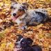 Vicky Reynolds - Facebook