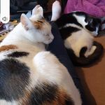 Vicky Reynolds - @vicky.reynolds.54 - Instagram