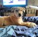 Vicky Richards - Facebook