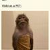 Vikki Riddle - Facebook