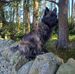 Vicki Robb - Facebook